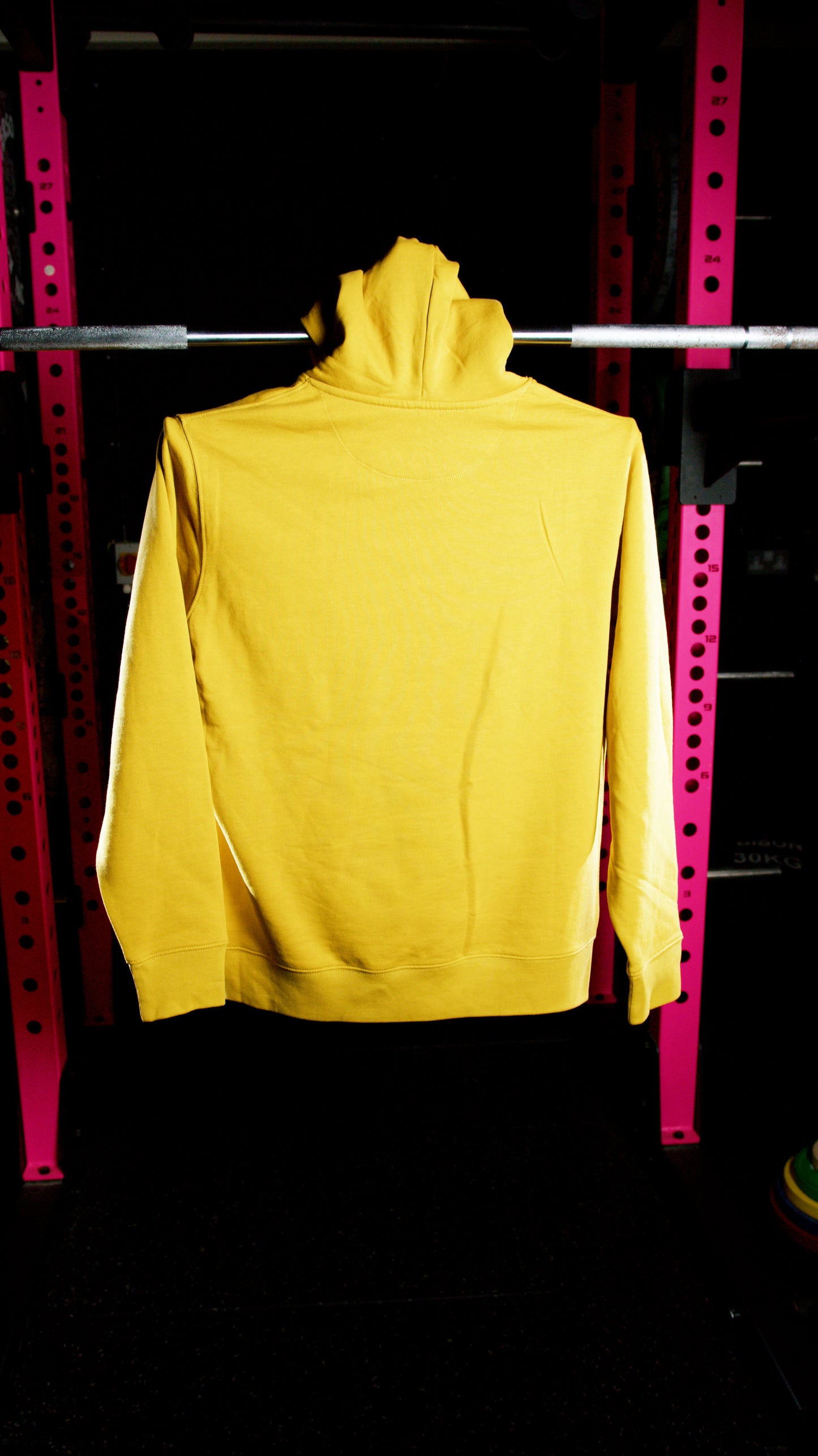Emblem Hoodie